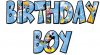 Birthday Boy - Chf Mickey.jpg