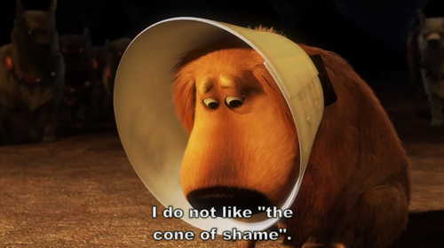 Cone+of+Shame.png